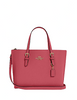 Coach Mollie Tote 25