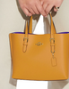 Coach Mollie Tote 25
