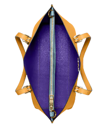 Coach Mollie Tote 25