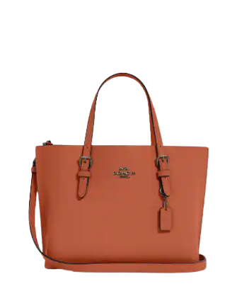 Coach Mollie Tote 25