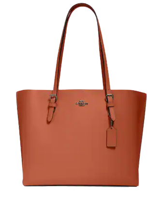 Coach Mollie Tote