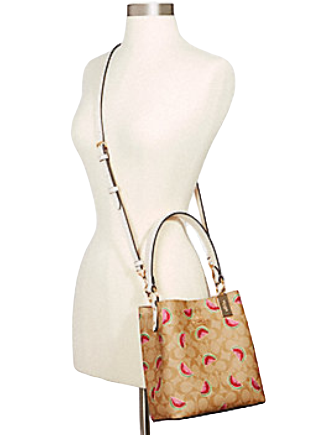 Coach Small Town Bucket Bag With Watermelon Print
