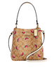 Coach Small Town Bucket Bag With Watermelon Print
