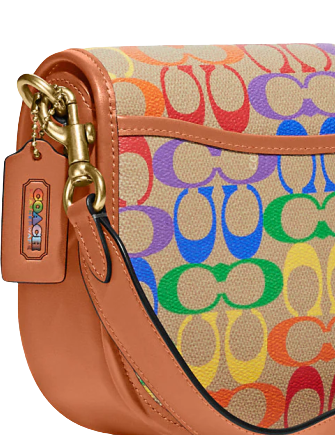 Coach Willow Saddle Bag In Rainbow Signature Canvas